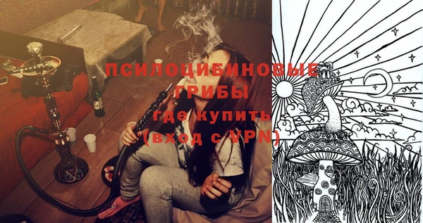амф Арсеньев