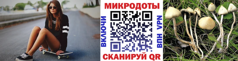 Псилоцибиновые грибы Psilocybine cubensis  Верхняя Пышма 